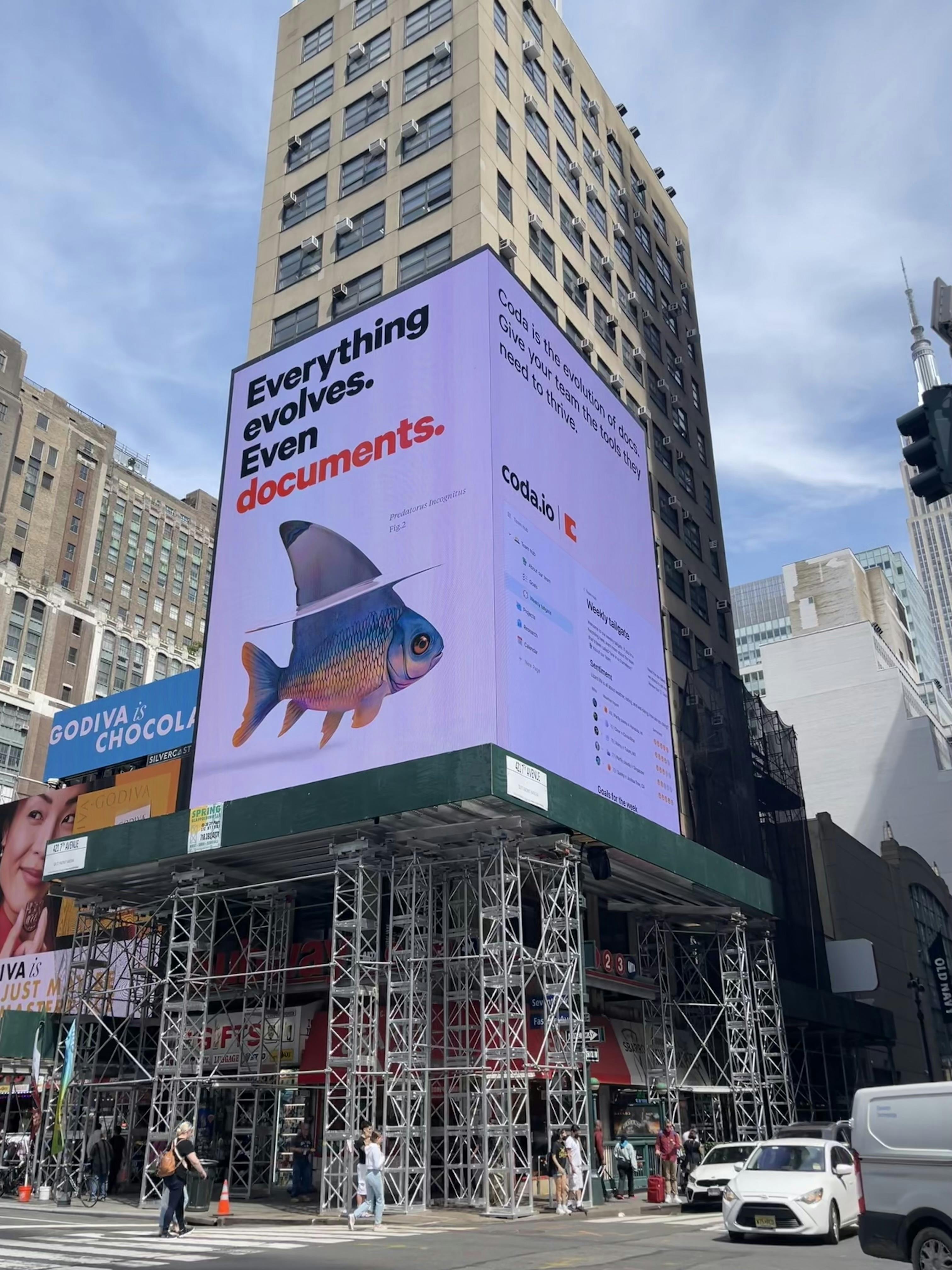 A billboard seen in New York - a fish called Predatorus Incognitus, a harmless carp with a sharkfin